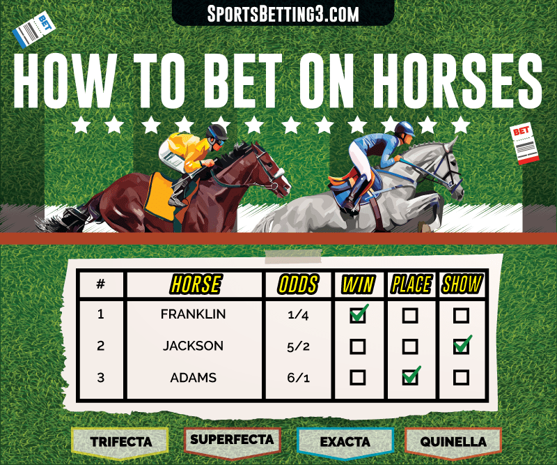 How to bet on horse racing